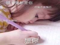 湖北卓昶科技有限公司