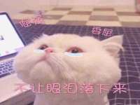 湖北卓昶科技有限公司