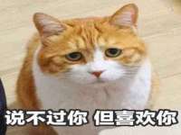 湖北卓昶科技有限公司