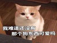 湖北卓昶科技有限公司