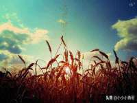 湖北卓昶科技有限公司