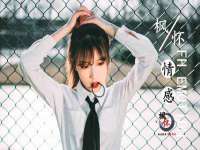 湖北卓昶科技有限公司
