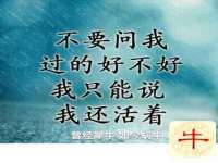 湖北卓昶科技有限公司