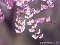 湖北卓昶科技有限公司