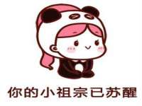 湖北卓昶科技有限公司