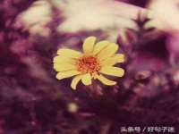 湖北卓昶科技有限公司