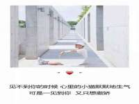 湖北卓昶科技有限公司