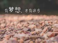 湖北卓昶科技有限公司