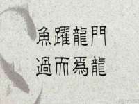 湖北卓昶科技有限公司