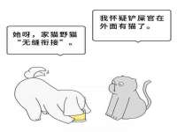 湖北卓昶科技有限公司