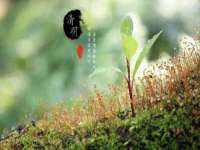 湖北卓昶科技有限公司