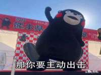 湖北卓昶科技有限公司