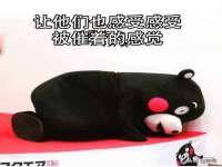 湖北卓昶科技有限公司