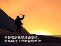 湖北卓昶科技有限公司