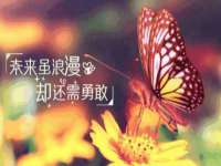 湖北卓昶科技有限公司