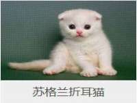湖北卓昶科技有限公司