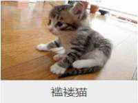 湖北卓昶科技有限公司