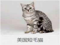 湖北卓昶科技有限公司