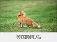 湖北卓昶科技有限公司