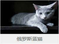湖北卓昶科技有限公司