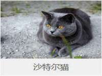 湖北卓昶科技有限公司