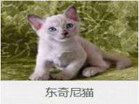 湖北卓昶科技有限公司