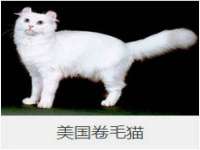 湖北卓昶科技有限公司