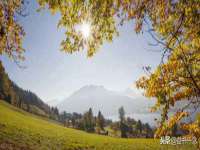 湖北卓昶科技有限公司