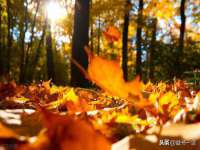 湖北卓昶科技有限公司