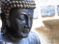 湖北卓昶科技有限公司