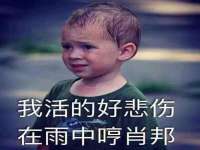 湖北卓昶科技有限公司