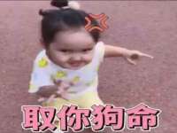 湖北卓昶科技有限公司