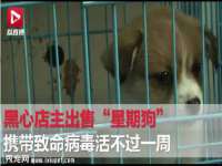 湖北卓昶科技有限公司