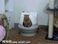 湖北卓昶科技有限公司