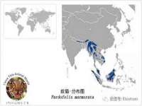湖北卓昶科技有限公司