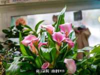 湖北卓昶科技有限公司