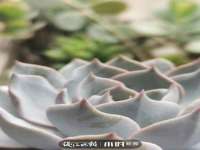 湖北卓昶科技有限公司