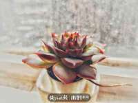 湖北卓昶科技有限公司
