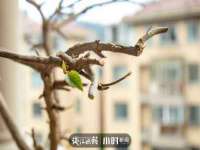 湖北卓昶科技有限公司