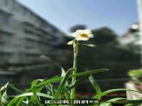 湖北卓昶科技有限公司