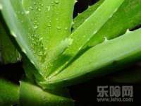 湖北卓昶科技有限公司
