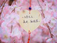 湖北卓昶科技有限公司