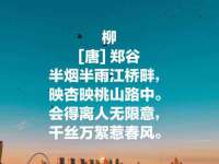 湖北卓昶科技有限公司