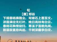 湖北卓昶科技有限公司