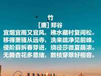 湖北卓昶科技有限公司