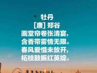 湖北卓昶科技有限公司