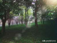 湖北卓昶科技有限公司