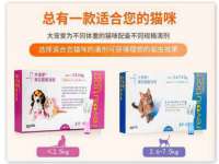 湖北卓昶科技有限公司