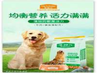 湖北卓昶科技有限公司