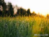 湖北卓昶科技有限公司